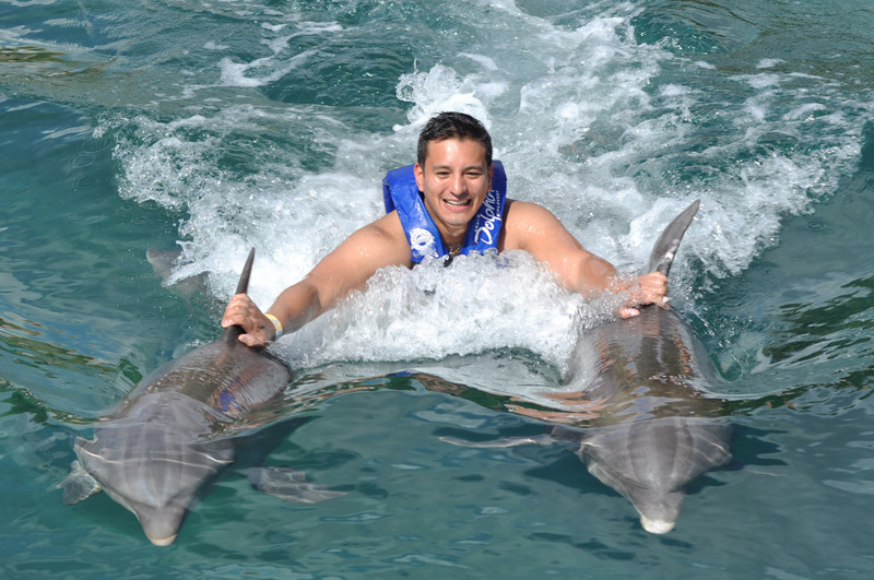 2-dauphins