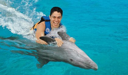 nagez-avec-dauphins