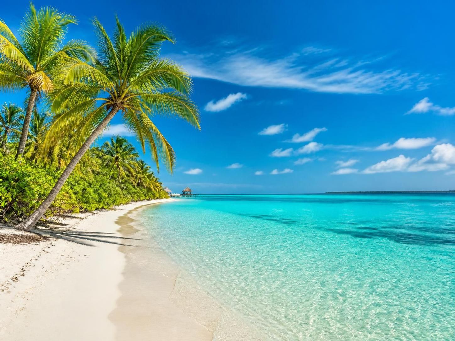Isla Contoy et Isla Mujeres : quel itinéraire privilégier pour une expérience inoubliable ? - PROMO TOURS découvrez comment planifier votre itinéraire entre isla contoy et isla mujeres pour vivre une expérience inoubliable entre nature préservée et plages paradisiaques.