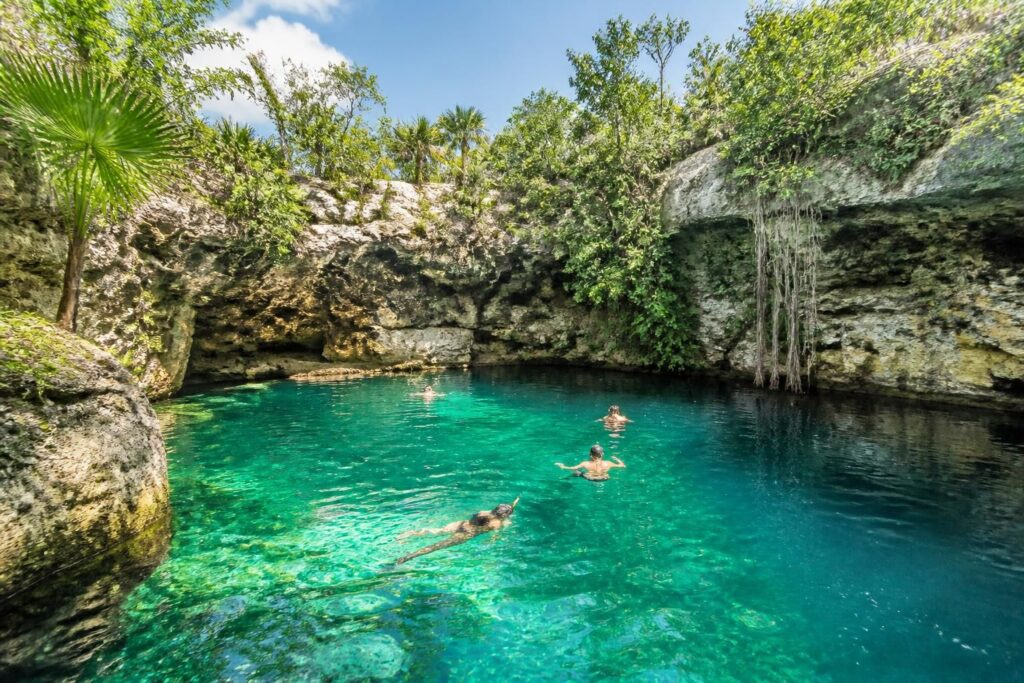 Les meilleurs cenotes près de playa del carmen à découvrir en 2026